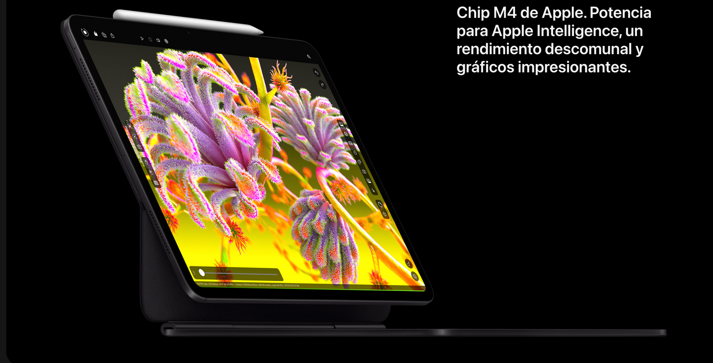 2022 Apple iPad Pro de 12.9 Pulgadas (Wi-Fi, 256GB) - Gris Espacial (sexta generación)