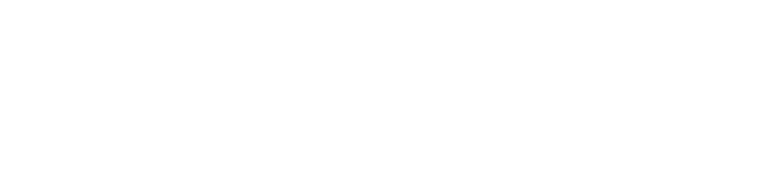 Geekfan